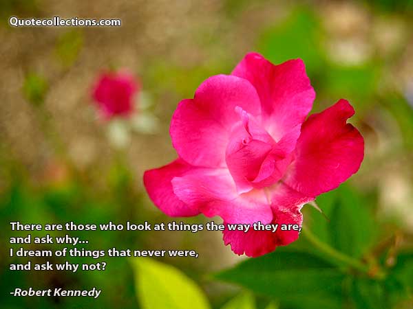 Robert Kennedy Quotes5